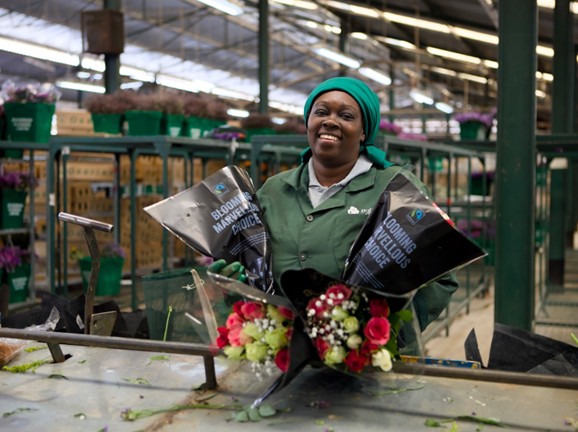 Fairtrade roseproduksjon